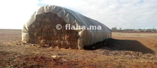 Une balle de blé à Sale au Maroc 