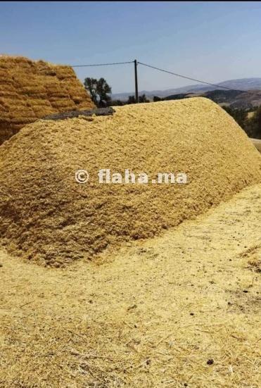 Une balle de blé à Sale au Maroc 